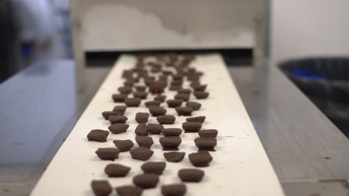 Empire chocolate enrobing line